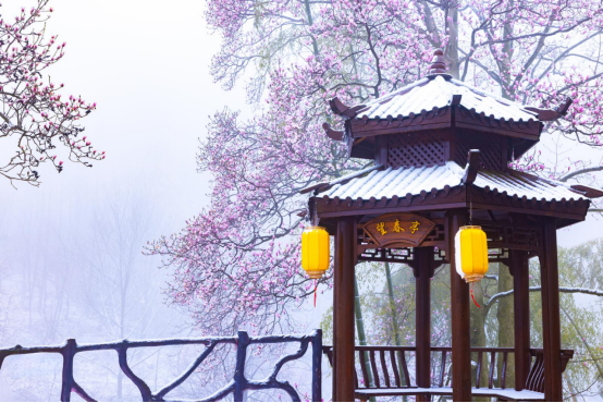 春雪掩映望春谷